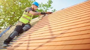 Best Rubber Roofing (EPDM, TPO)  in Sebewaing, MI