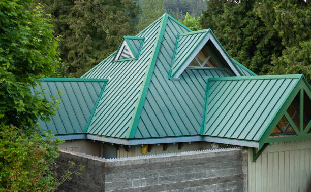 Best Solar Panel Roofing Installation  in Sebewaing, MI