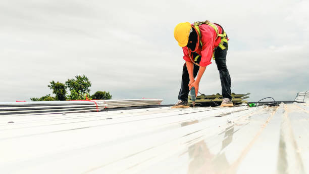 Best Emergency Roof Repair Services  in Sebewaing, MI