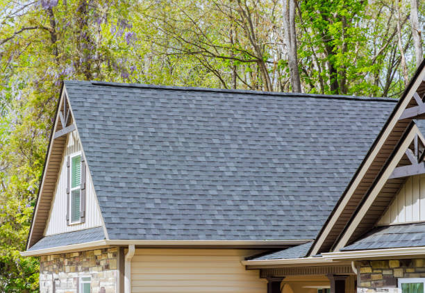 Best Roof Ventilation Installation  in Sebewaing, MI