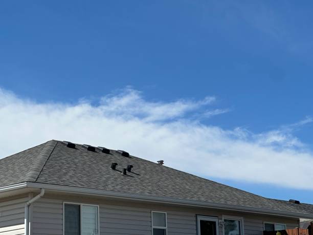 Best Metal Roofing Installation  in Sebewaing, MI
