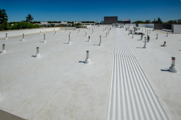 Best Flat Roofing  in Sebewaing, MI